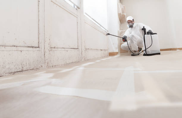 24/7 Emergency Mold Remediation experts in Erwin, TN