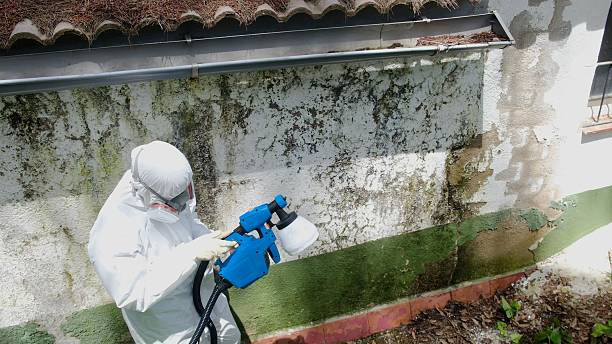 Top rated local Mold Remediation specialists in Erwin, TN